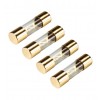 Saugiklis AGU 40A paauksuotas 10.3x38mm
