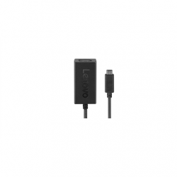 Lenovo | 4X90Q93303 USB-C to DisplayPort | USB-C male | DisplayPort