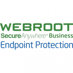Webroot | Business Endpoint Protection with GSM Console | Antivirus Business Edition | 1 year(s) | License quantity 1-9 user(s)
