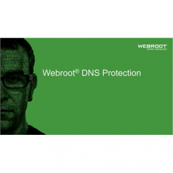 Webroot | DNS Protection with GSM Console | 2 year(s) | License quantity 1-9 user(s)