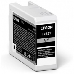 Epson Ink cartrige | Grey