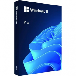 Microsoft Windows 11 Pro 	HAV-00163, USB Flash drive, Full Packaged Product (FPP), 64-bit, English